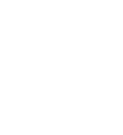 Sri Yantra Sri Yantra